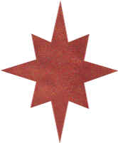star copper.bmp (100554 bytes)